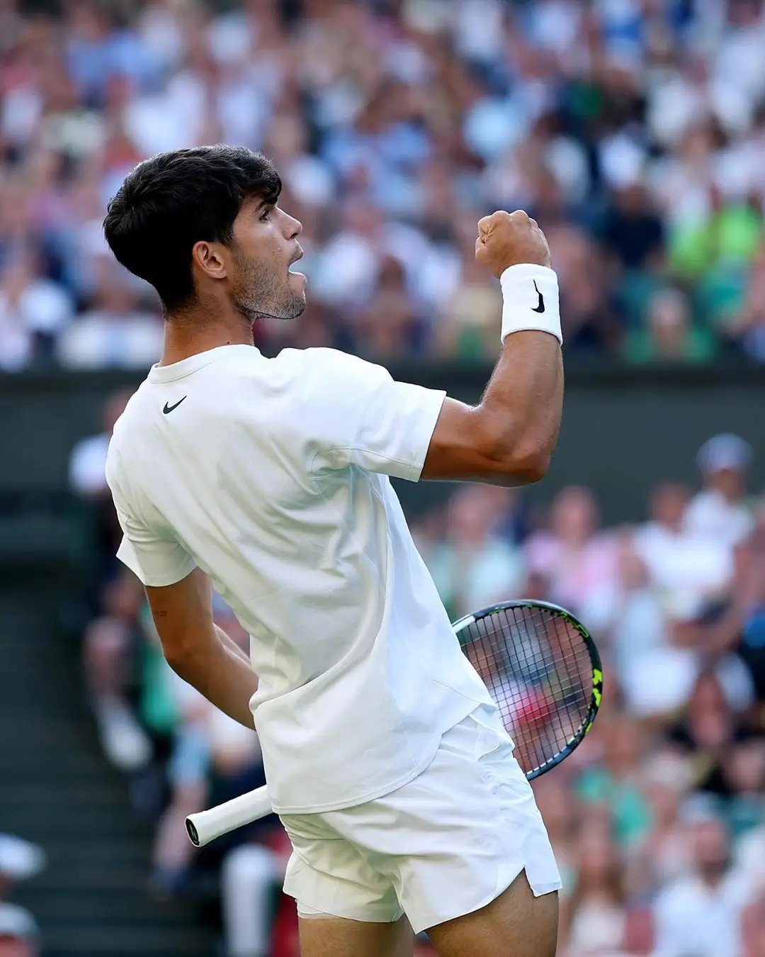 ATP总决赛横扫戴维斯杯，阿尔卡拉斯状态火热