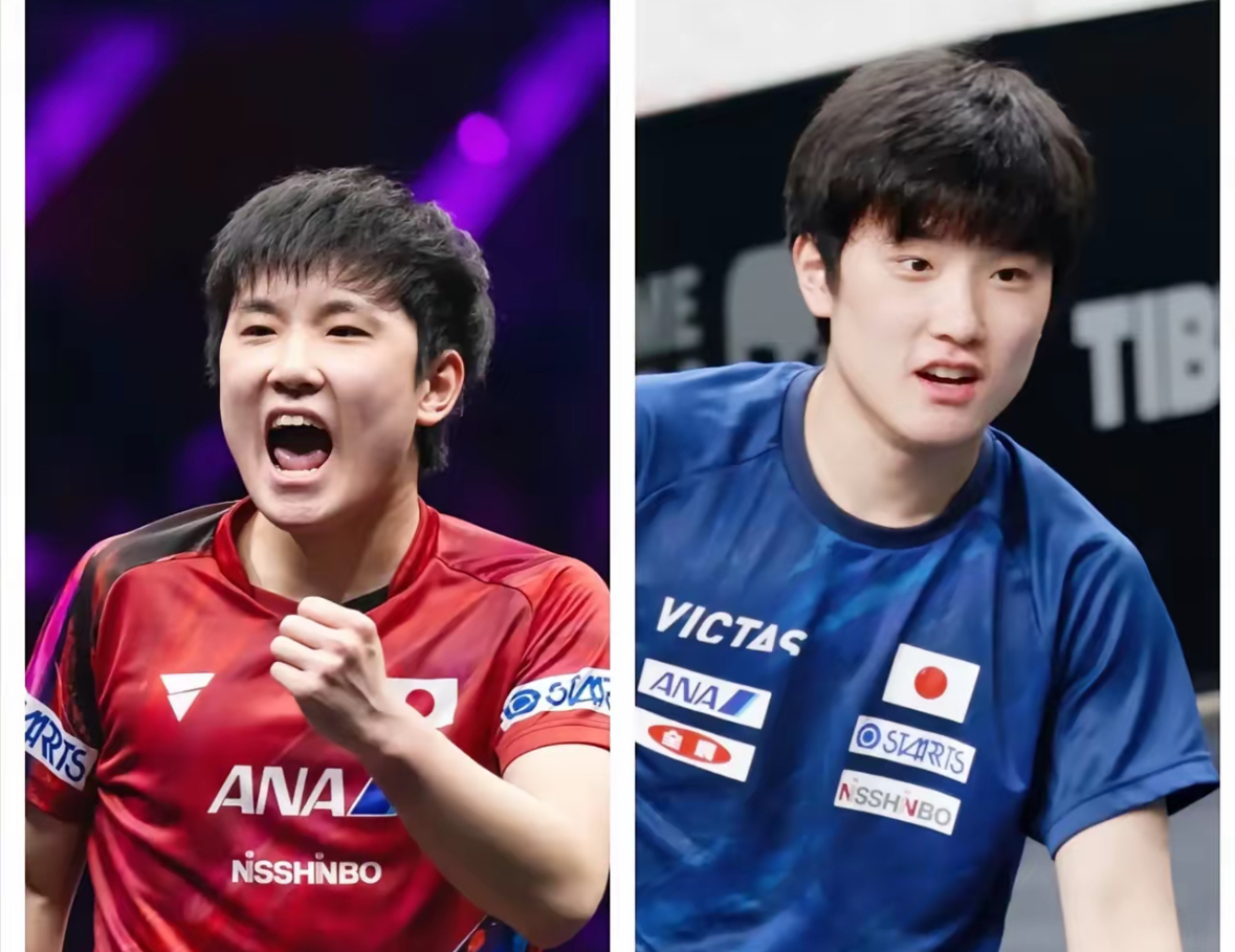 波兰队翻盘德国队,张本智和惊艳四座 波兰队翻盘德国队,张本智和惊艳四座