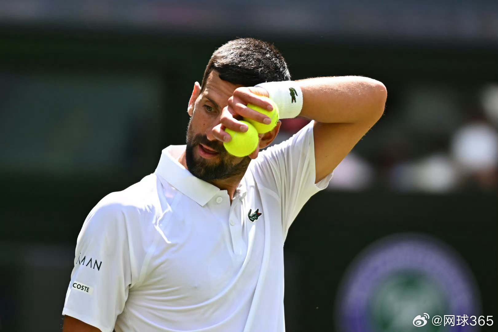 年终总决赛力克温网，德约科维奇点燃赛场