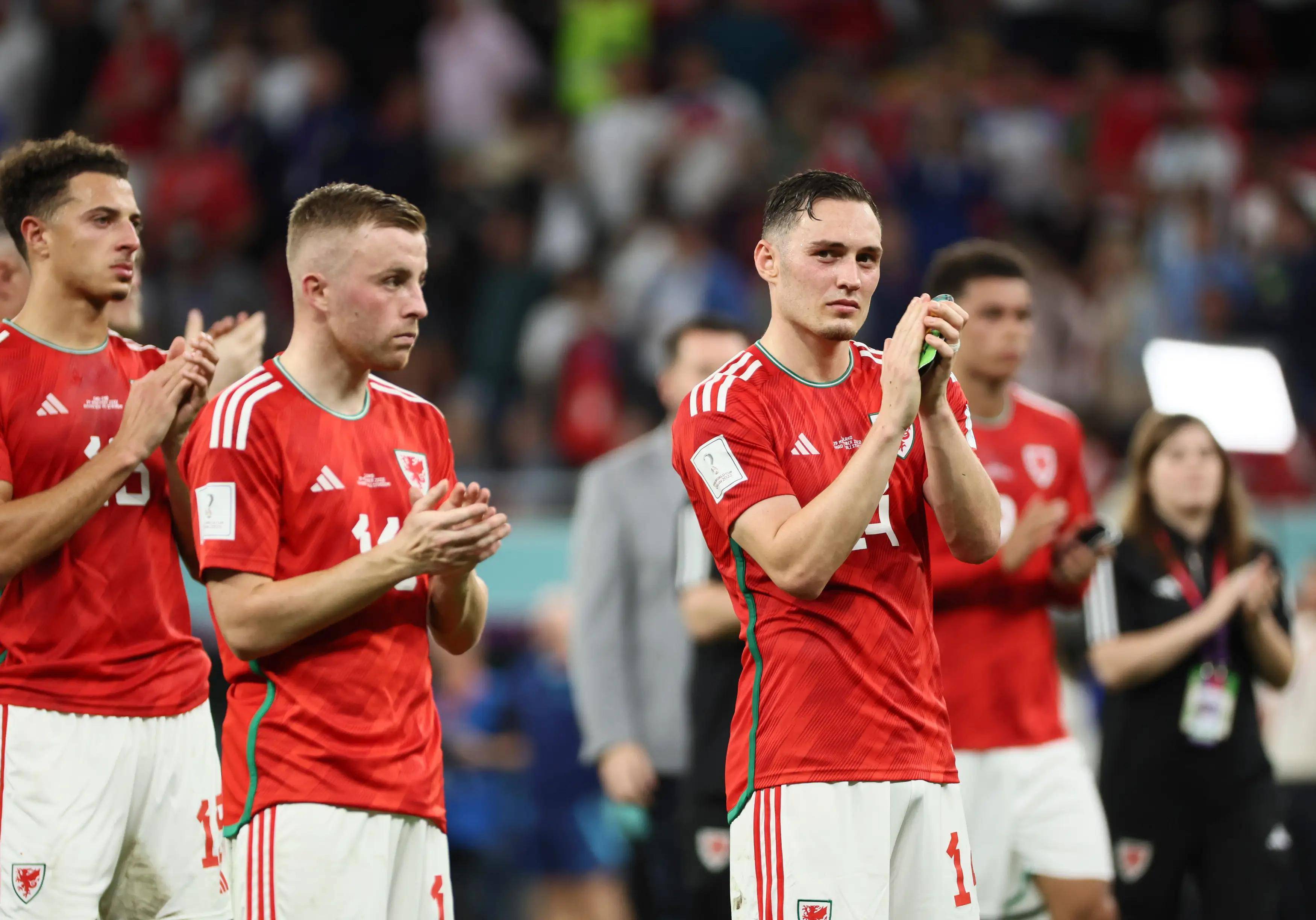 波兰队完胜法国队，波尔带队取胜