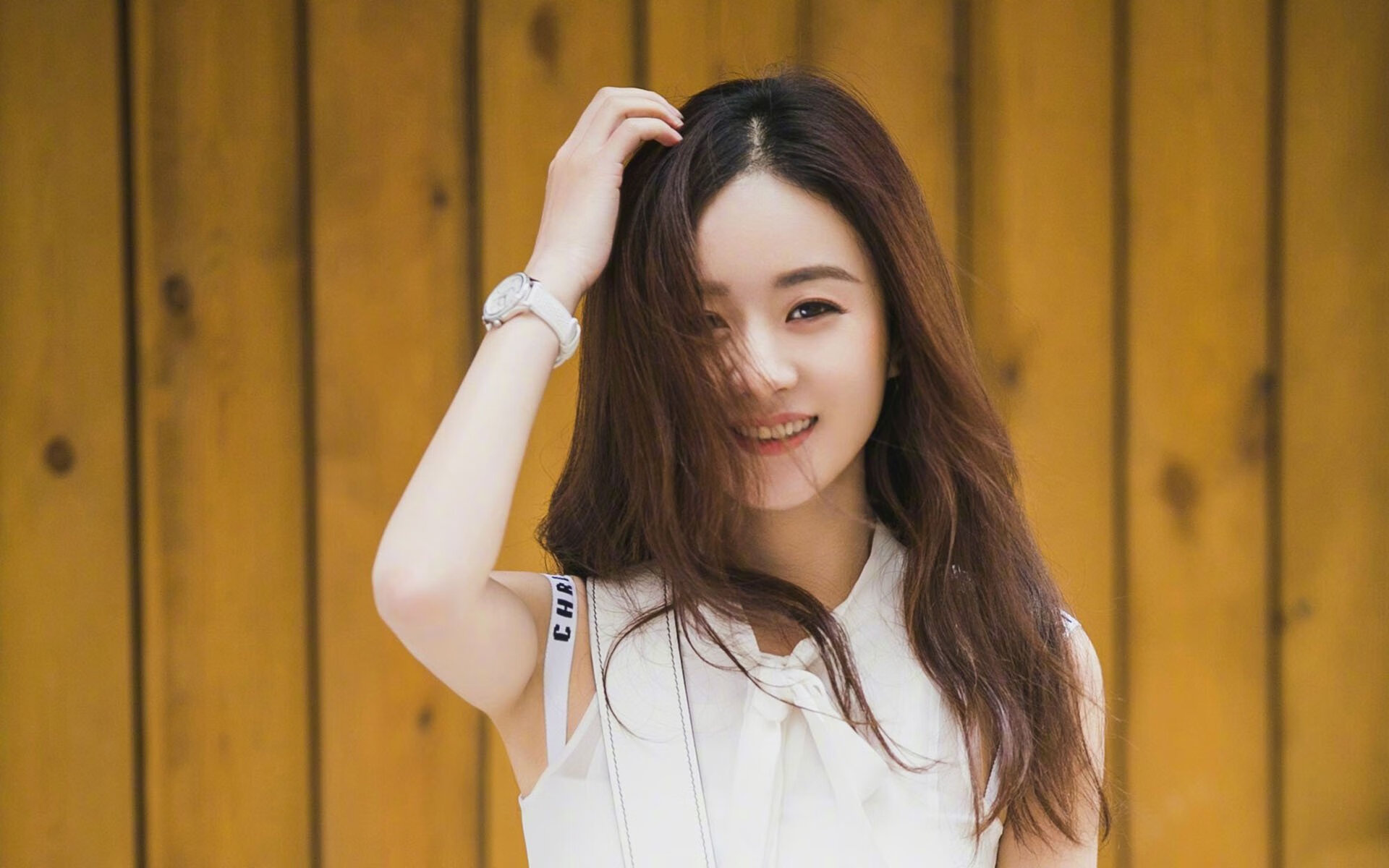 世界杯焦点战背后的黄蜂精神,当爆冷成为全球启示