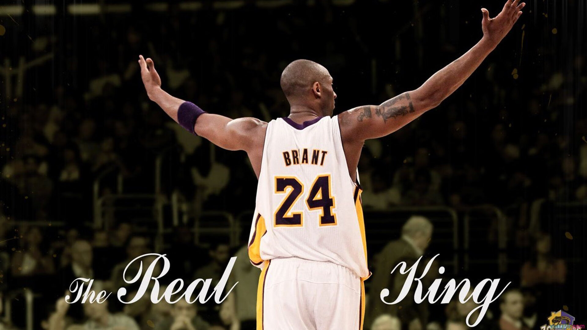 上海队对阵国王，武切维奇稳定输出不掉线，诠释现代篮球核心价值